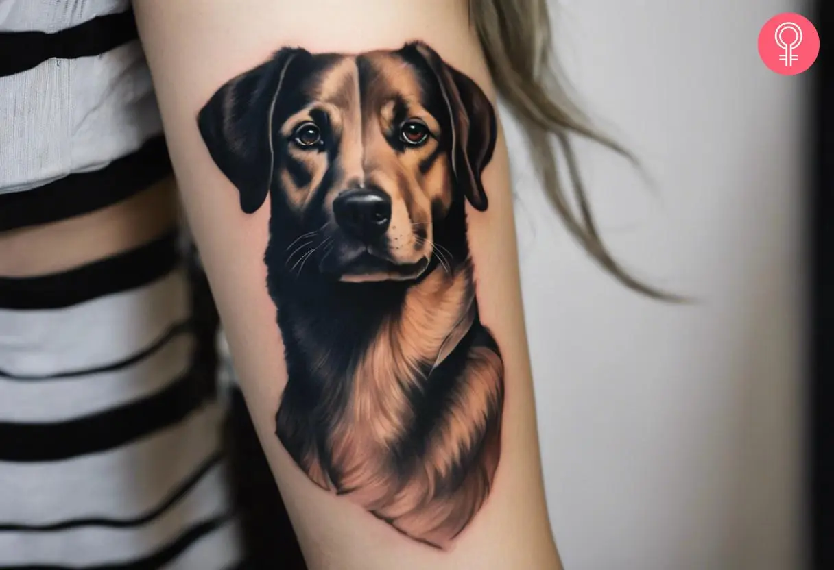 Illustrative realism dog tattoo on the forearm