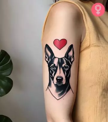 Dog with a heart tattoo on the upper arm