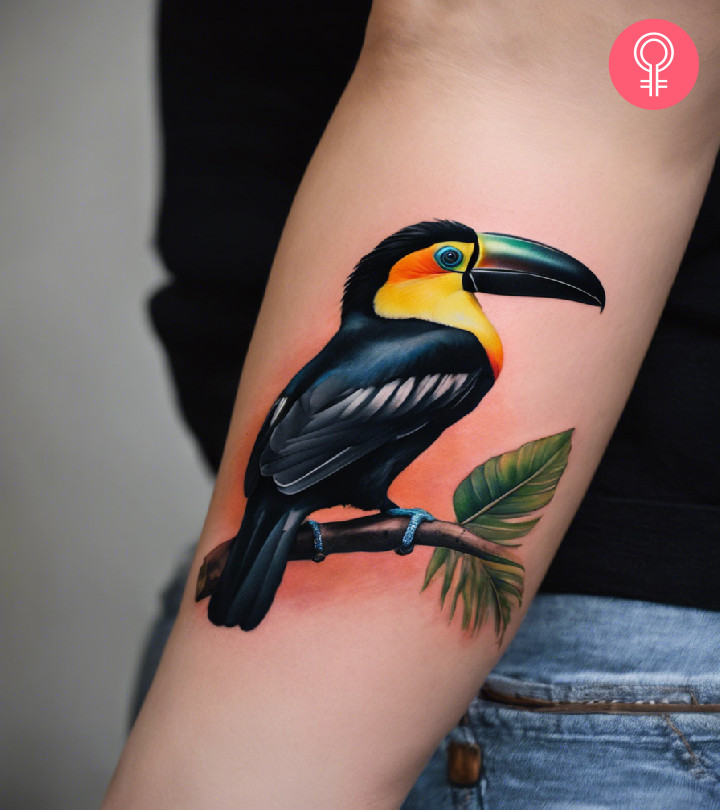 8 Stunning Toucan Tattoo Designs With Meaning