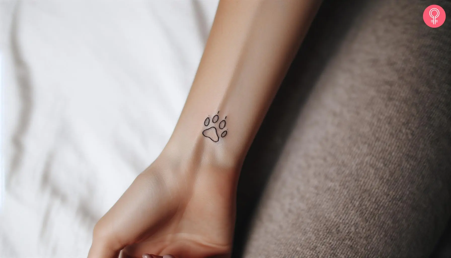 A fine line dog paw print on the wrist