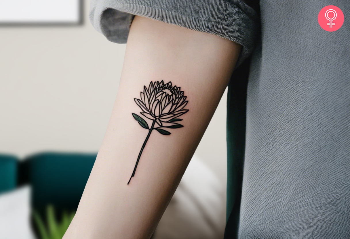 A fine line protea tattoo on a woman’s arm