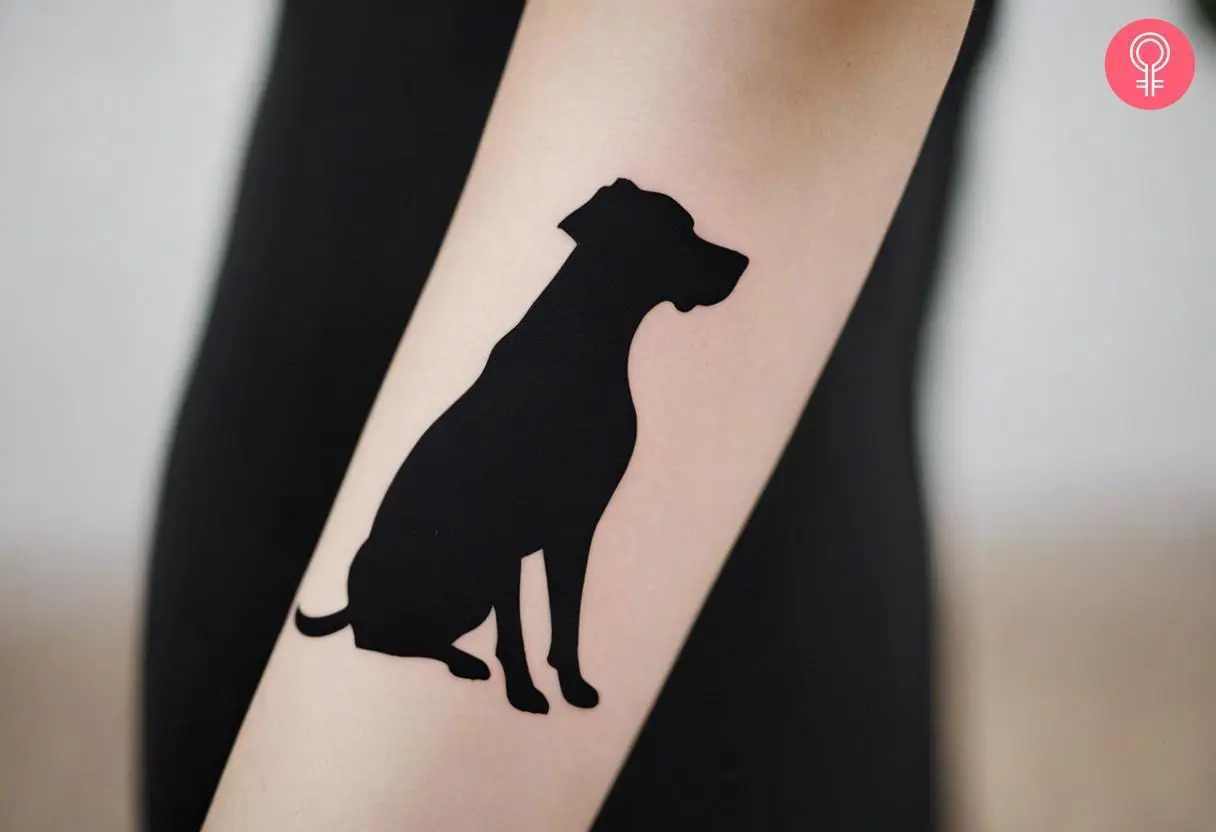 A seated dog on the forearm