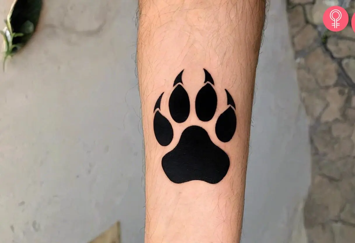 A traditional bear paw tattoo on the forearm