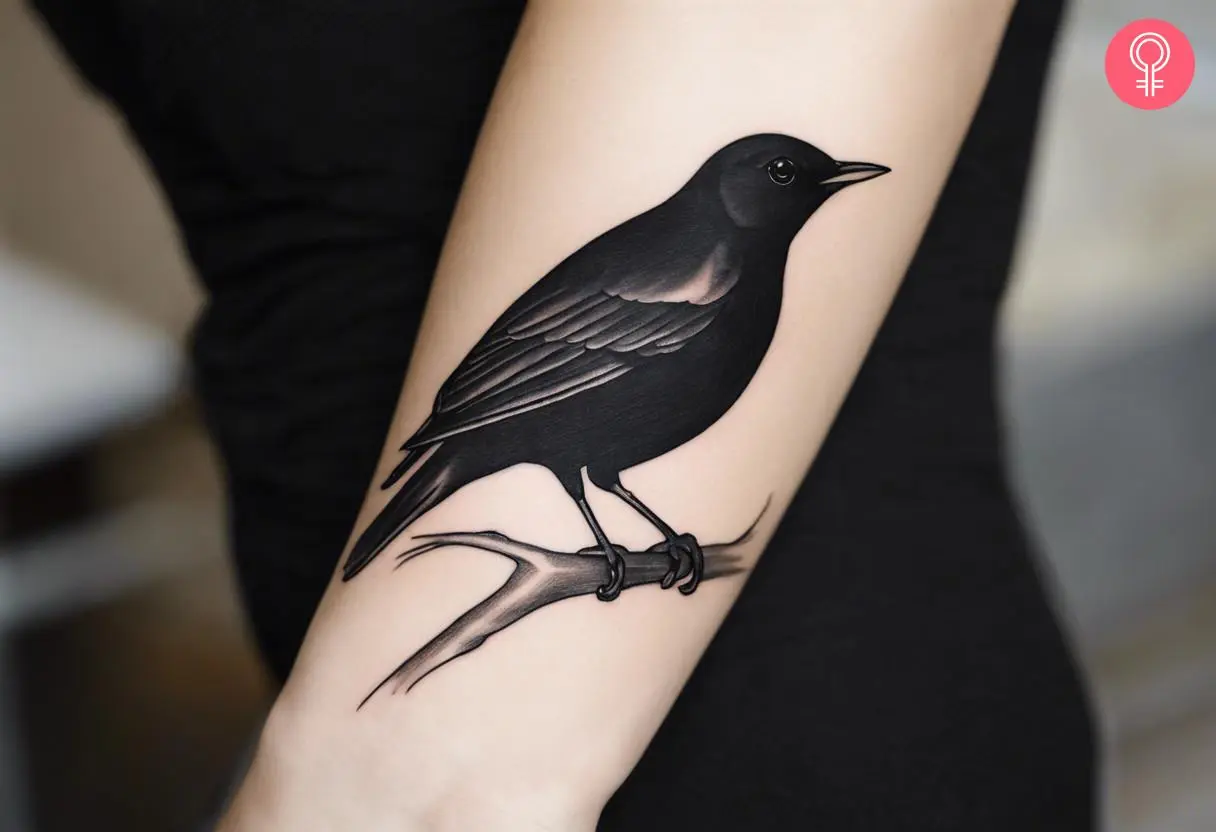 A woman with a blackbird drawing tattoo on her arm