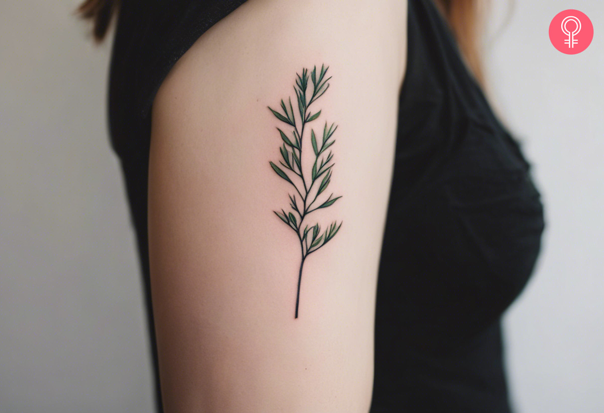 A woman with a minimalist juniper branch tattoo on her upper arm