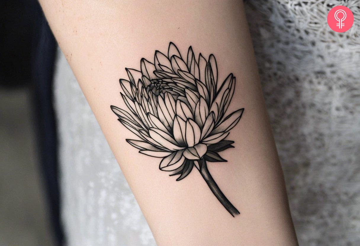 Black and white protea tattoo on the forearm