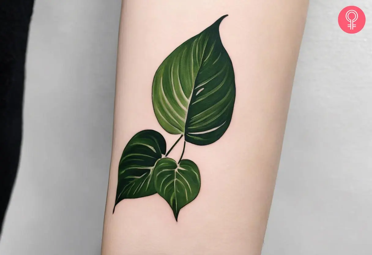 A tattoo of Pothos leaves on the forearm