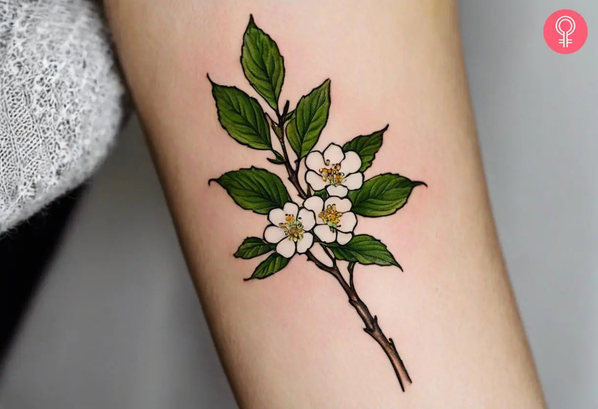 Hawthorn tattoo on the forearm