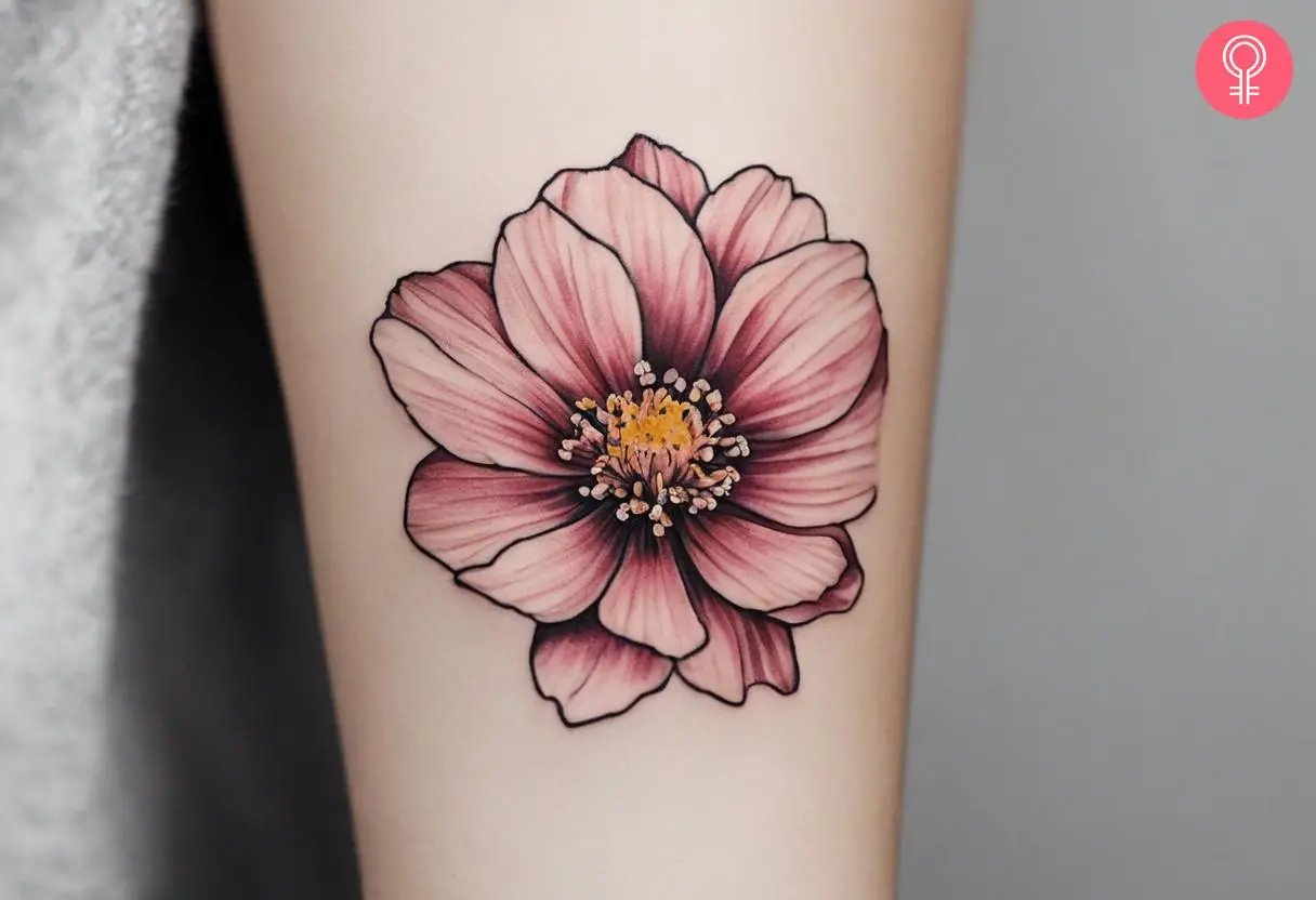 A semi-realistic cosmos flower inked on the forearm