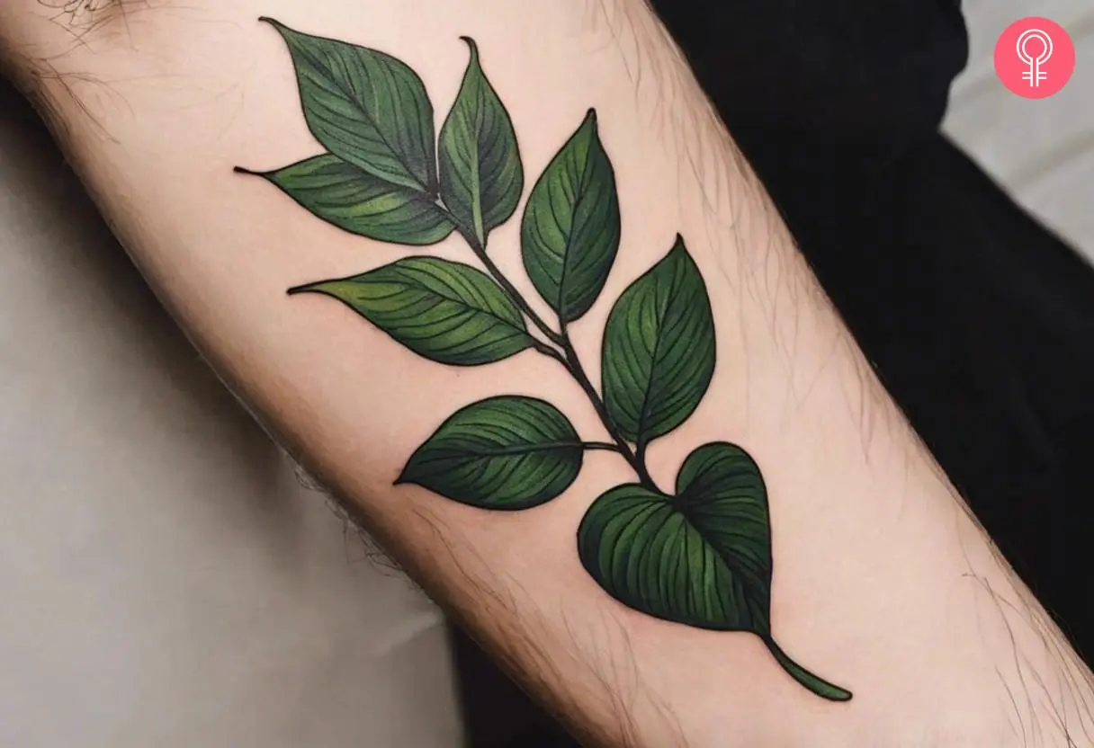 A tattoo of the Pothos vine on the forearm