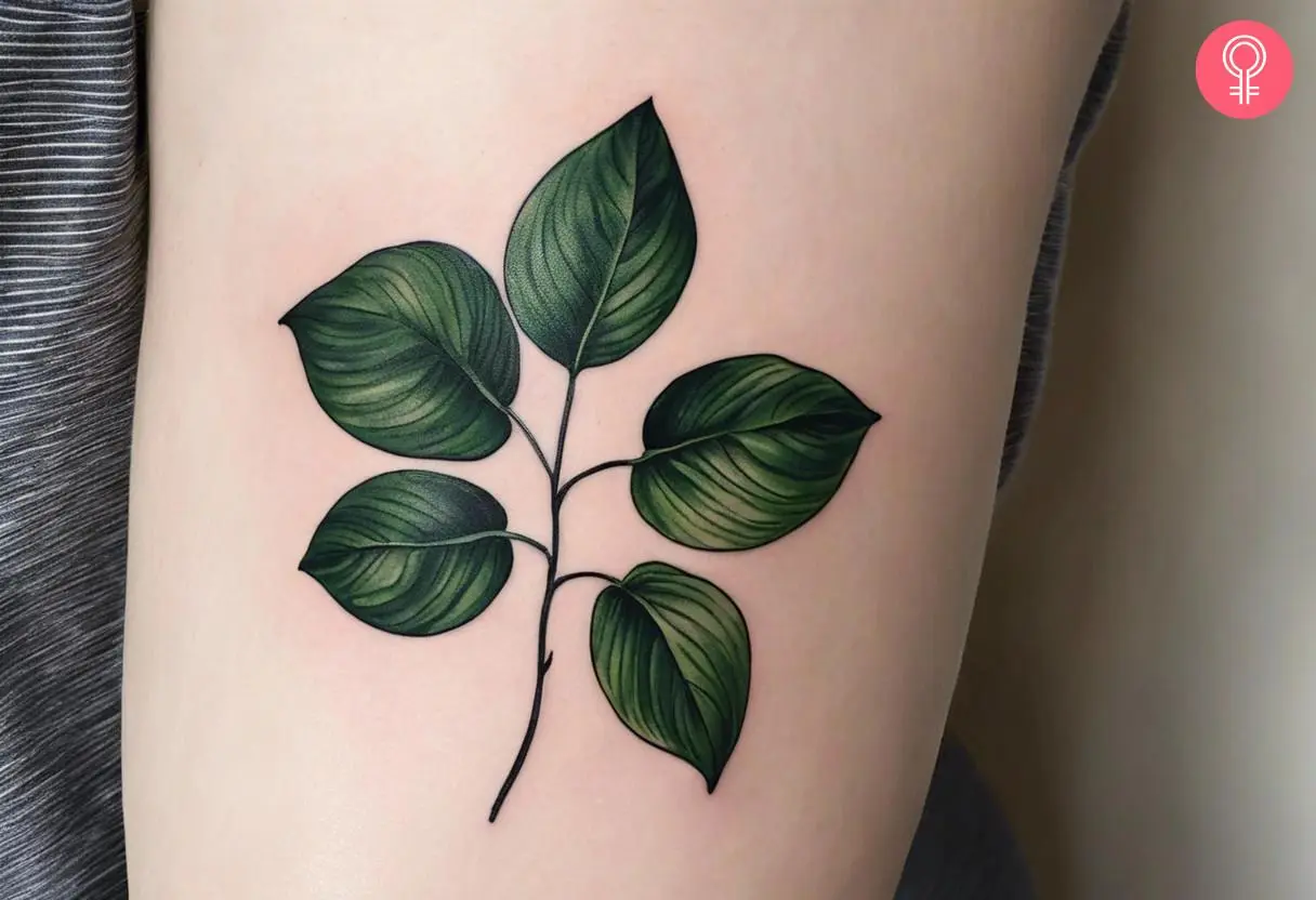 A semi-realistic tattoo of Pothos leaves on the forearm