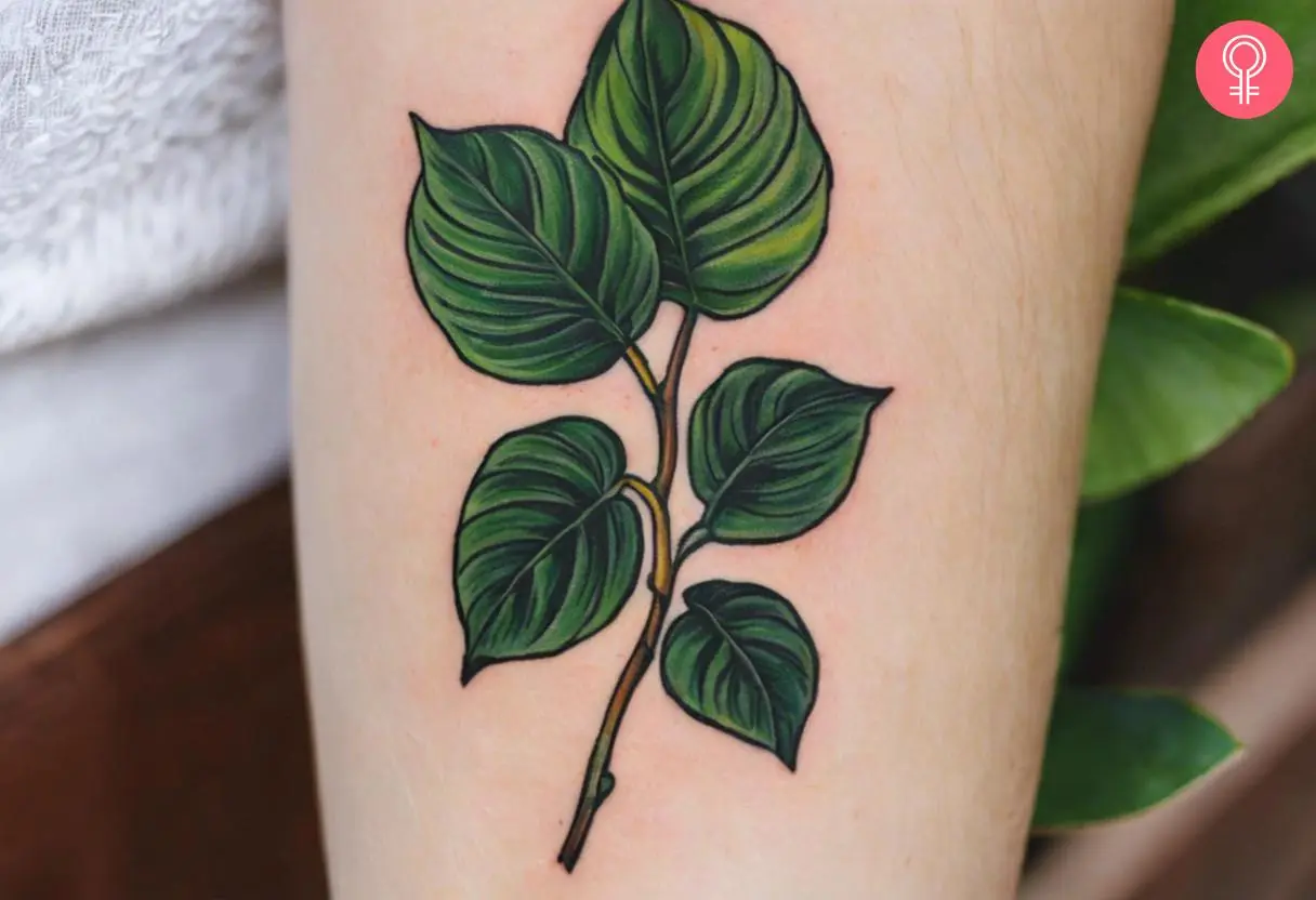 A forearm tattoo of a Pothos vine on the forearm