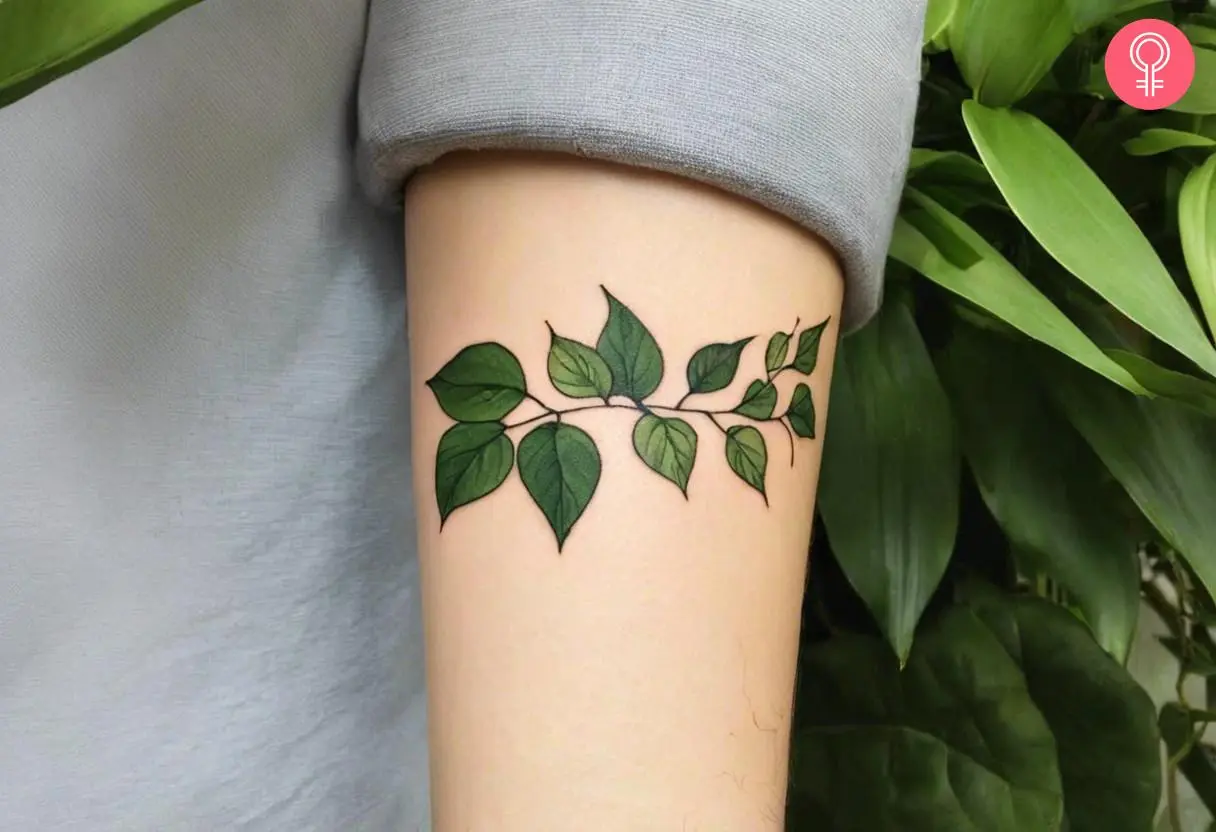 An upper arm tattoo of a Pothos vine on the arm