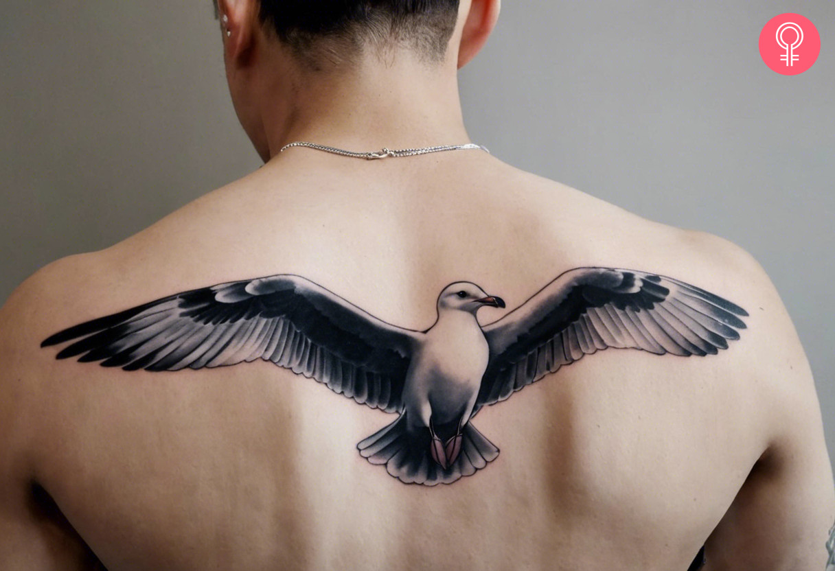 Realistic seagull tattoo on the back