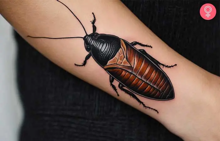 Hissing Cockroach Tattoo