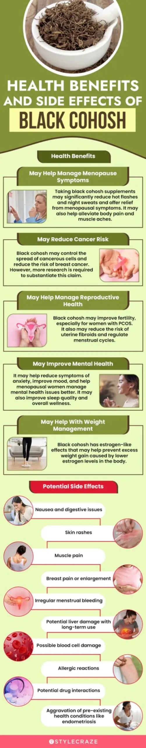 health-benefits-and-risks-of-black-cohosh (infographic)