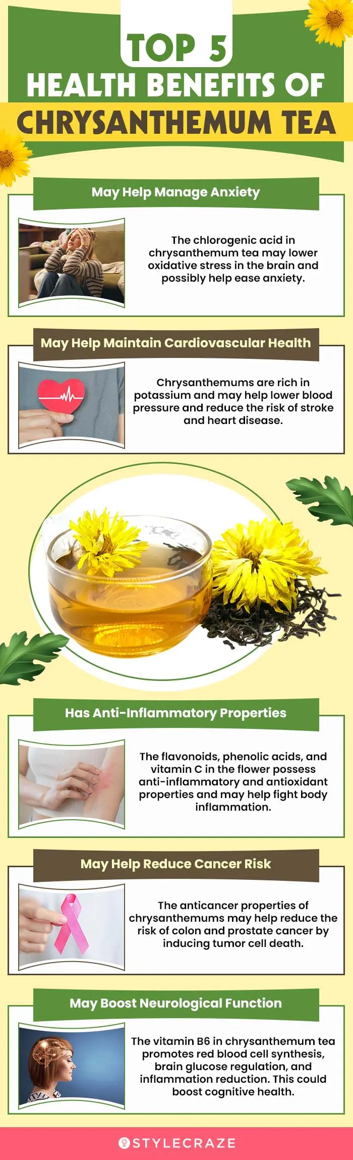 top-5-health-benefits-of-chrysanthemum-tea (infographic)