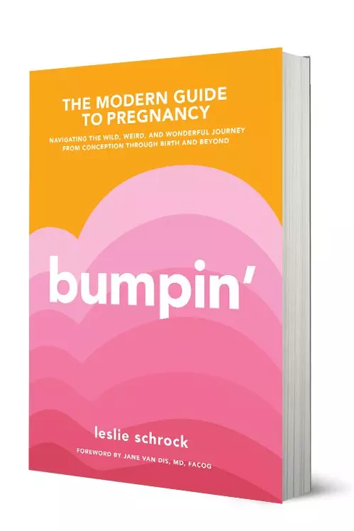 Bumpin’ The Modern Guide To Pregnancy by Leslie Shrock