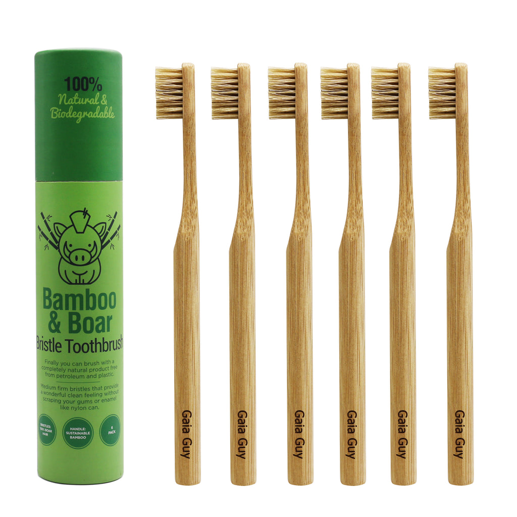 Gaia Guy Bamboo & Boar Bristle Toothbrush