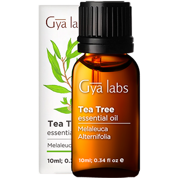 Gya Labs Tea Tree Essential Oil