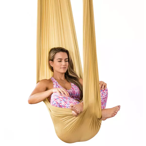 PINC Active Yoga Swing Set