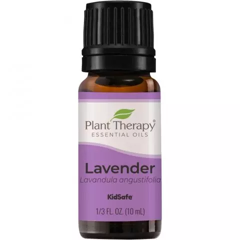 Plant Therapy Essential Oils Lavender