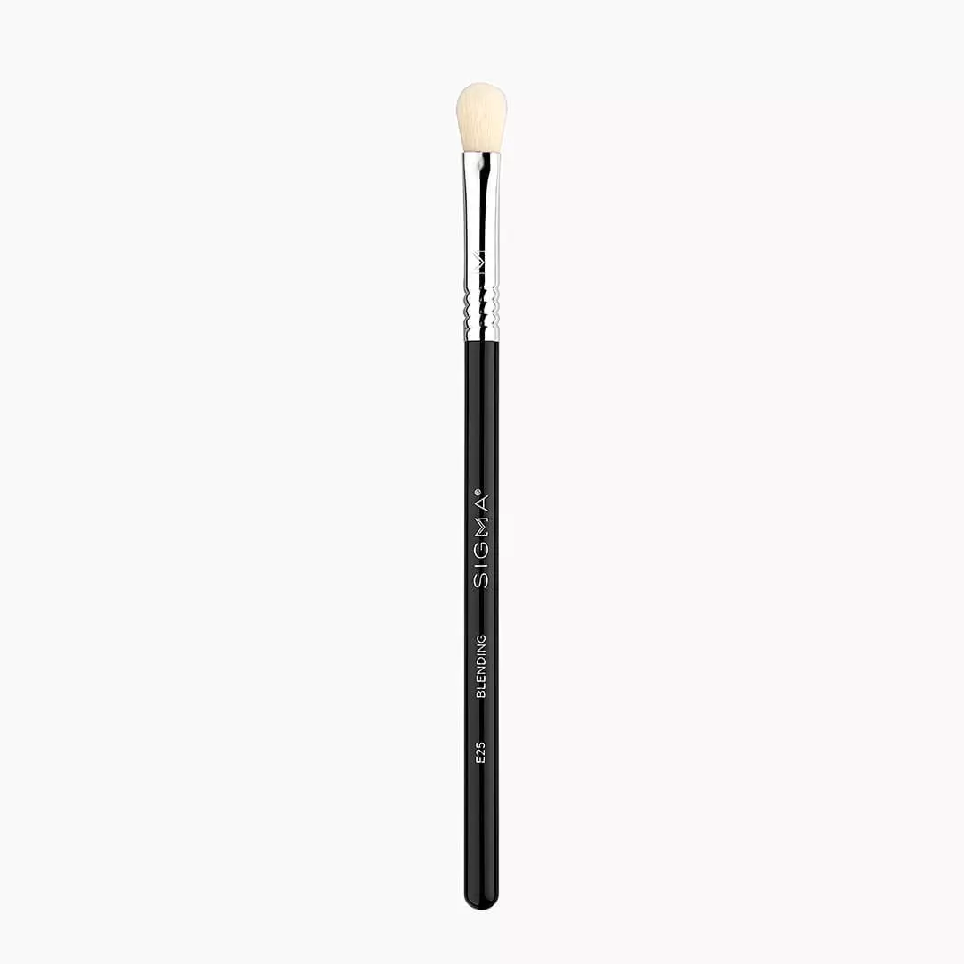 Sigma E25 Blending Brush