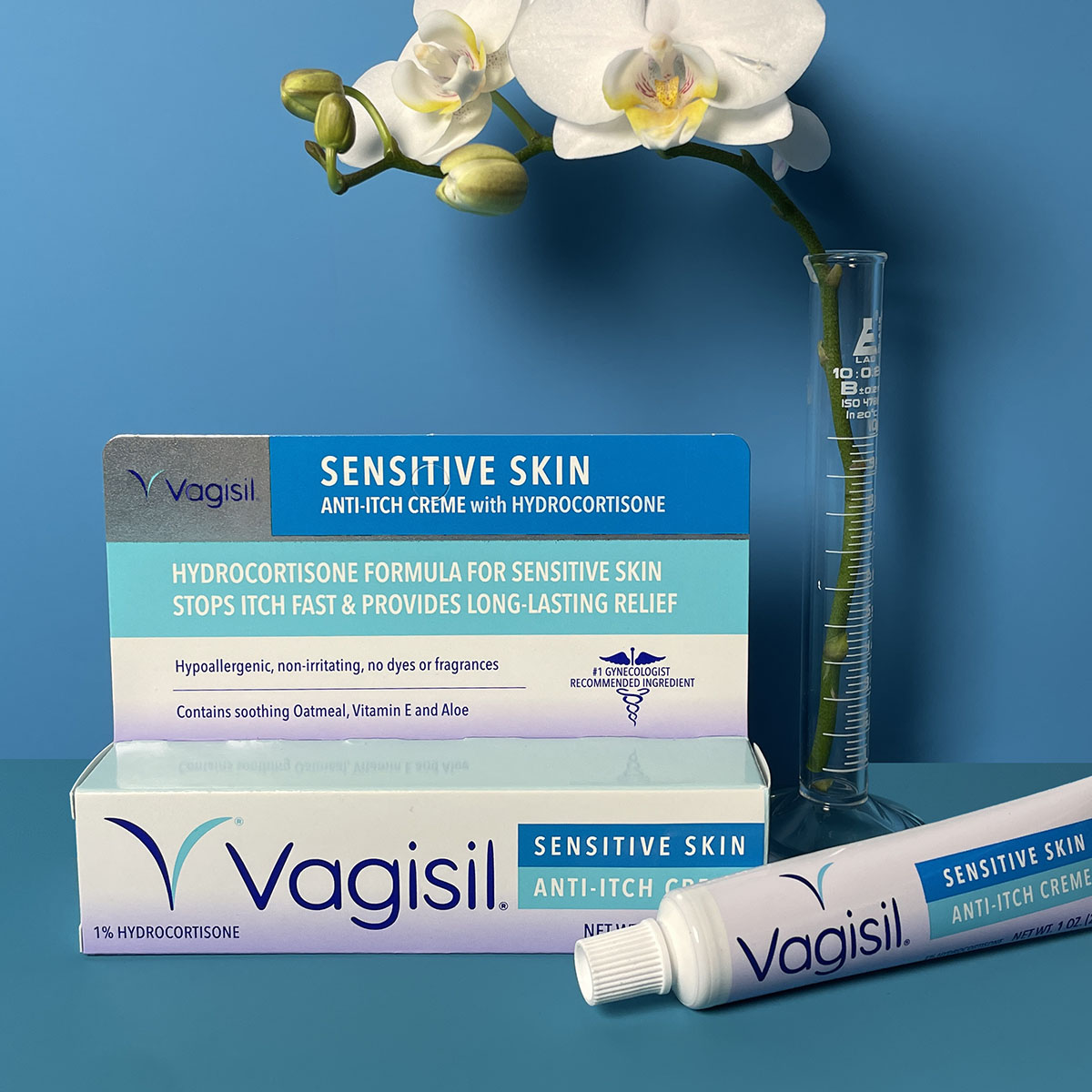 Vagisil Maximum Strength Feminine Anti-Itch Cream for Women