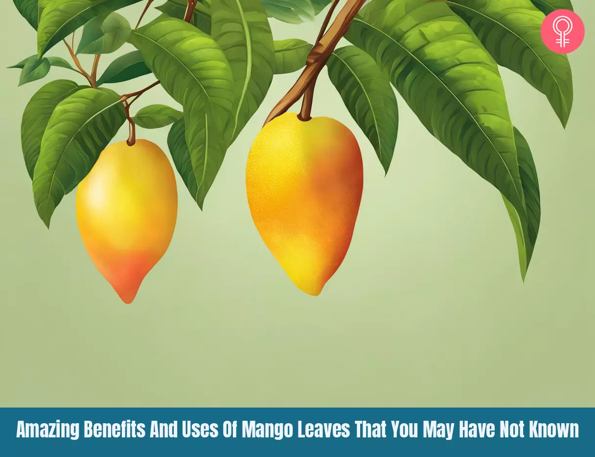 mango leaves benefits