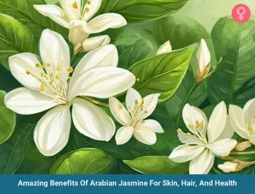benefits of arabian jasmine