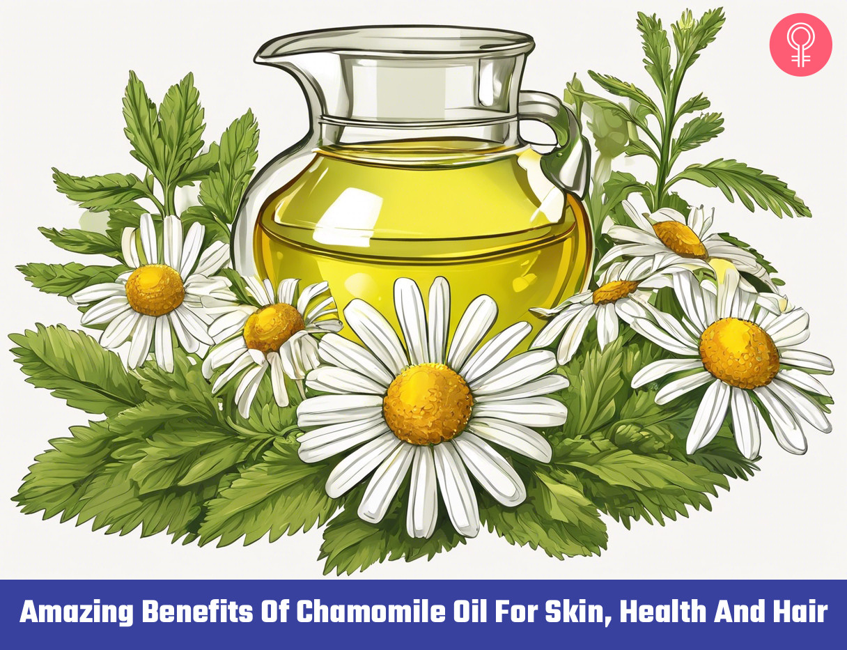chamomile oil benefits_illustration