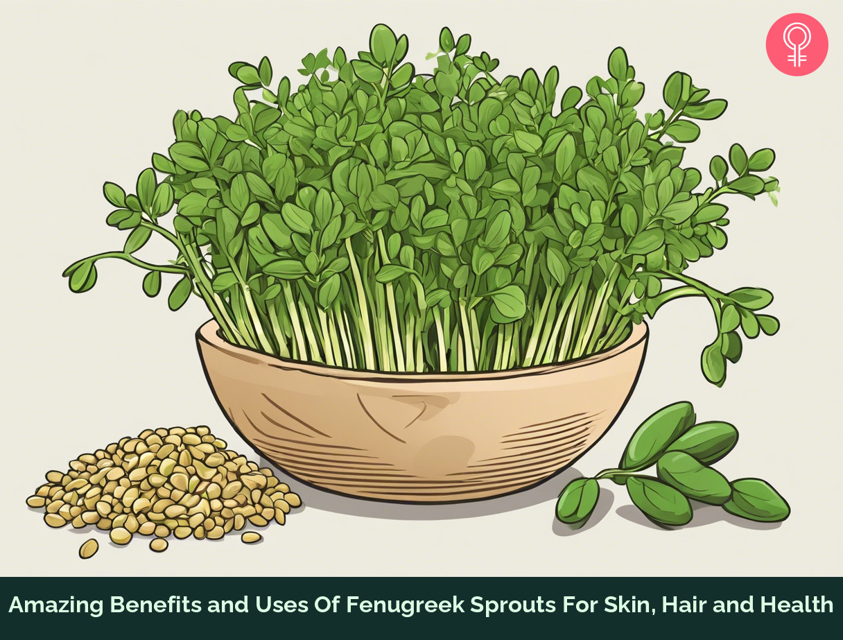 fenugreek sprouts benefits_illustration