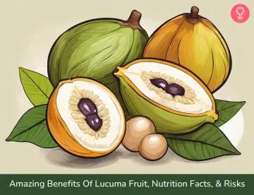 lucuma fruit benefits_illustration