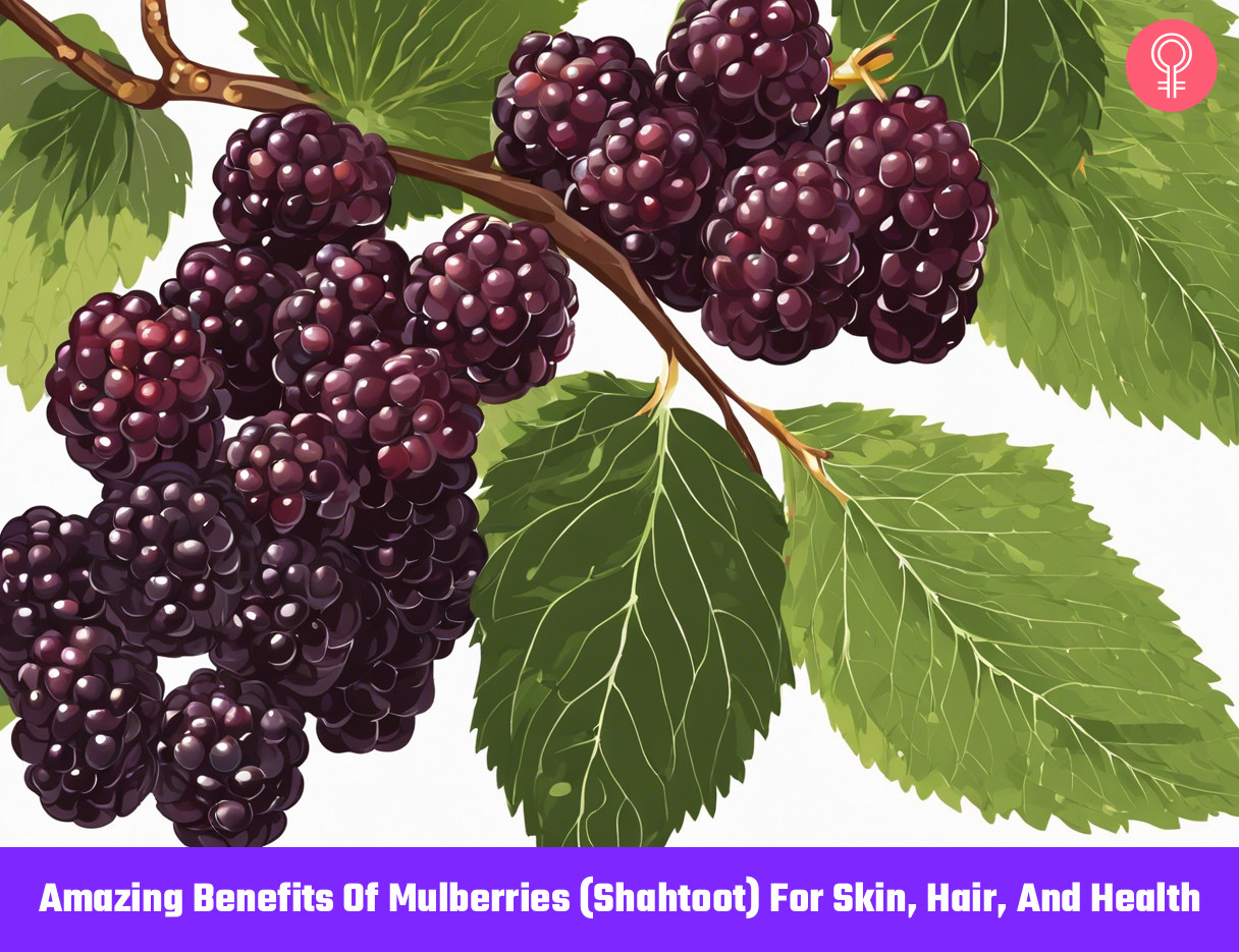 mulberries benefits