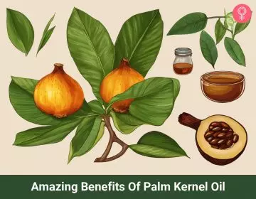 palm kernel oil benefits