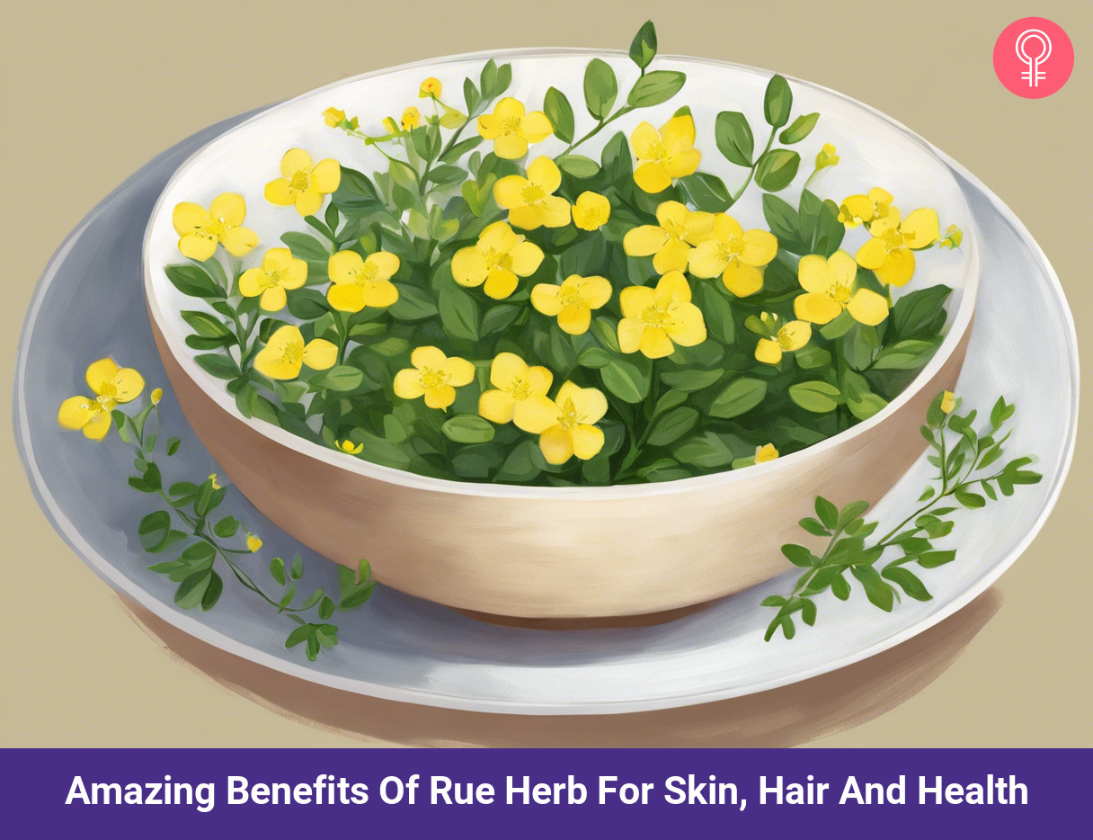 rue herb benefits