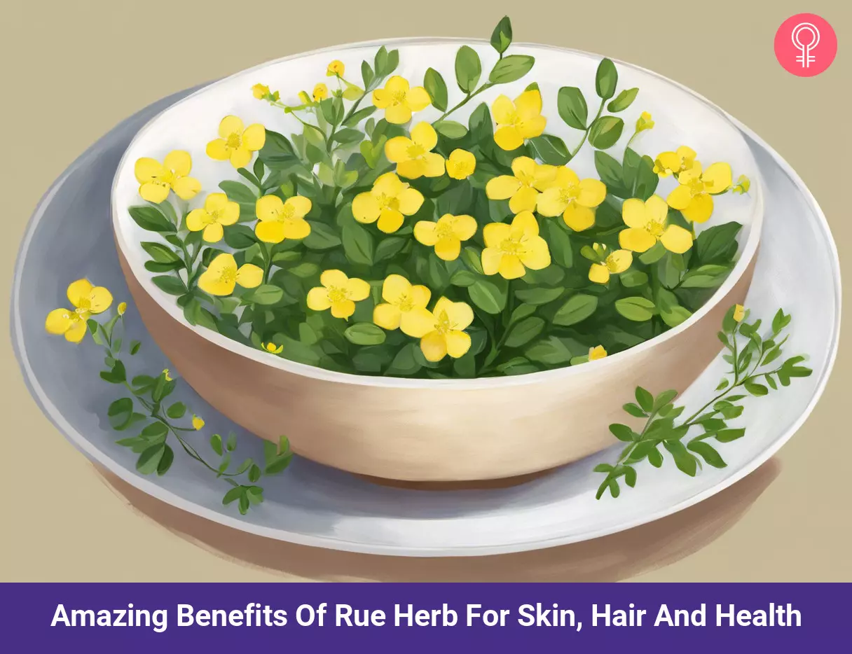 rue herb benefits
