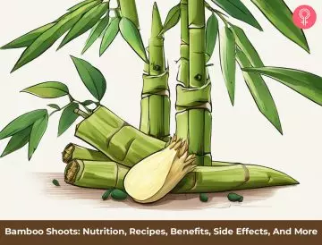 Bamboo Shoots Benefits_illustration