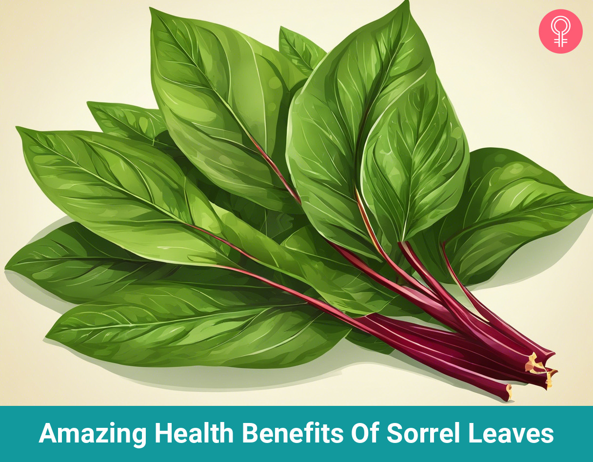 sorrel leaves benefits