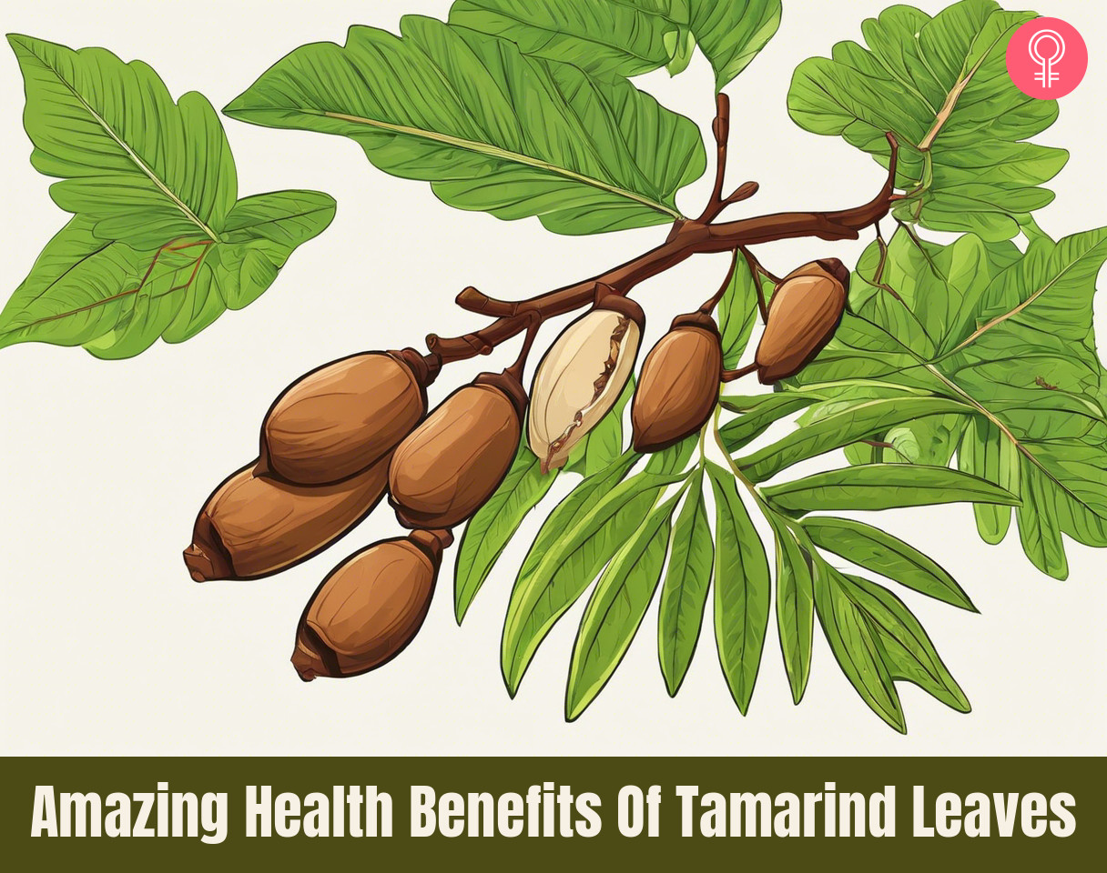 tamarind leaves benefits_illustration