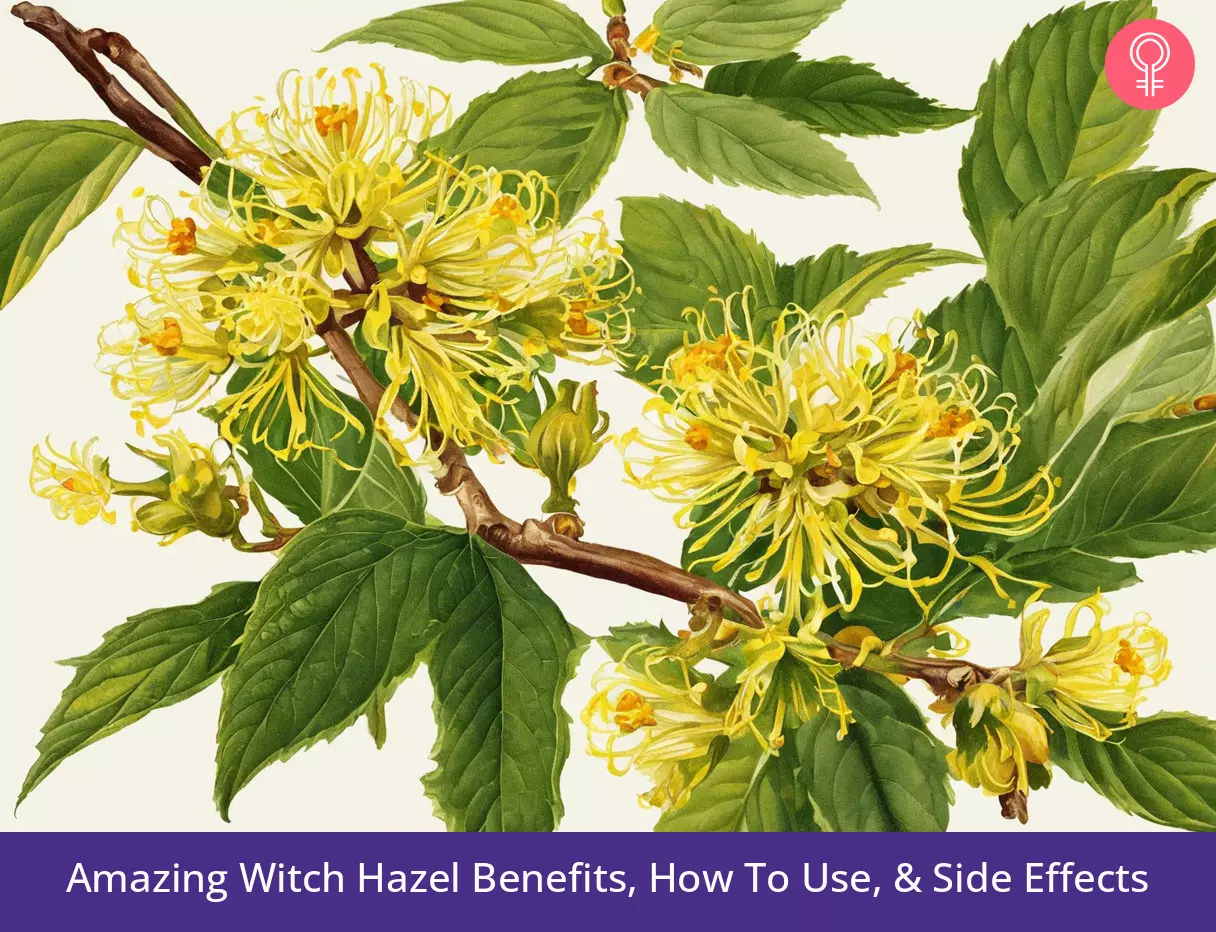 witch hazel benefits