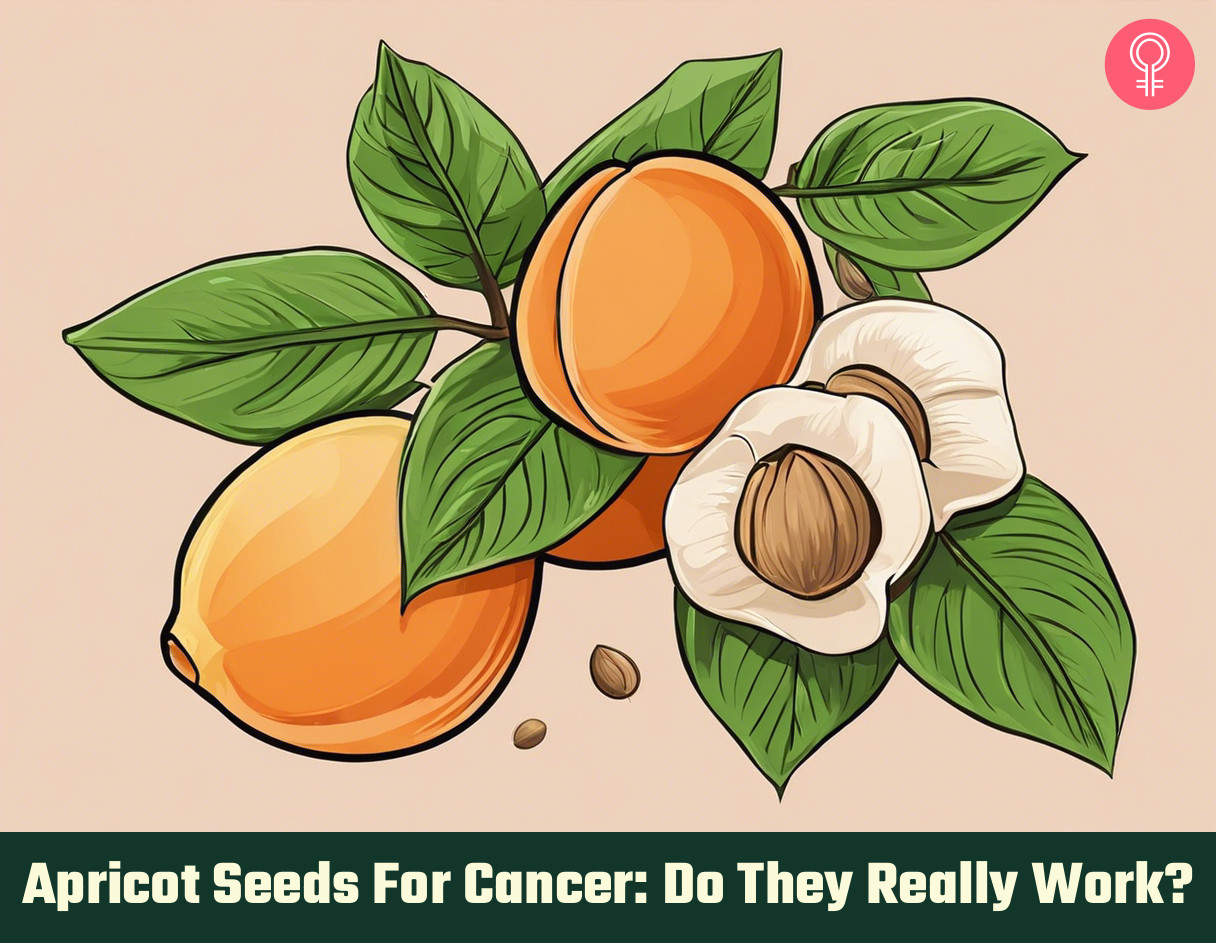 apricot seeds for cancer_illustration