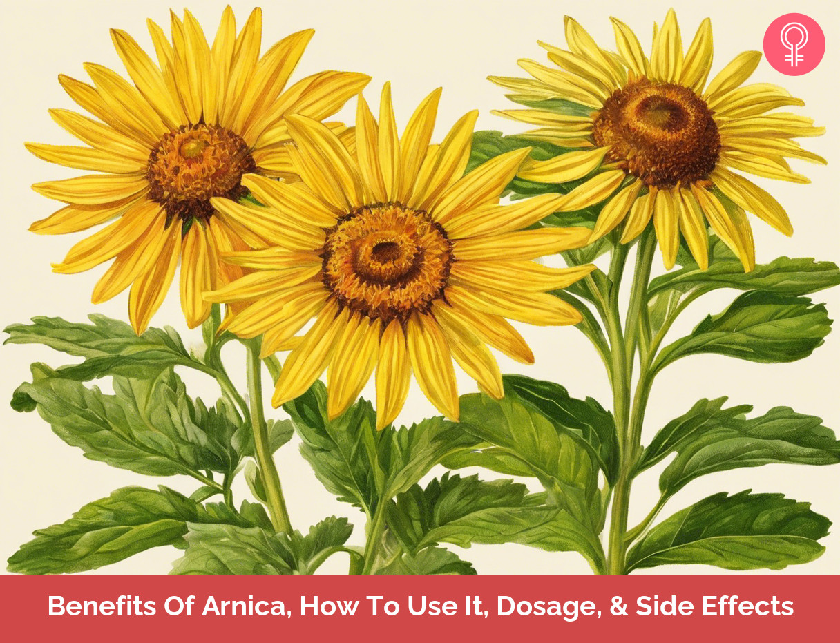 arnica benefits