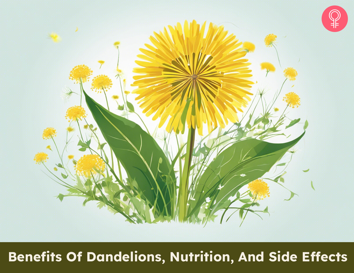dandelion Benefits