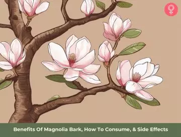 magnolia bark benefits