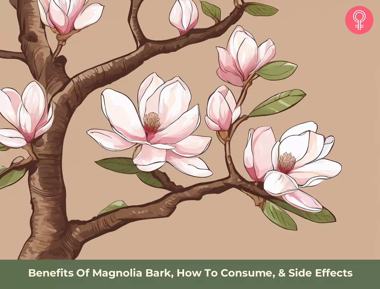 magnolia bark benefits