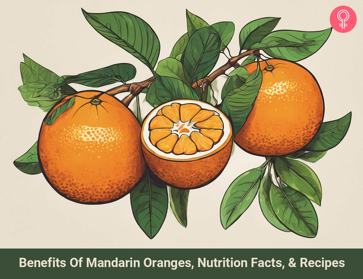 mandarin oranges_illustration