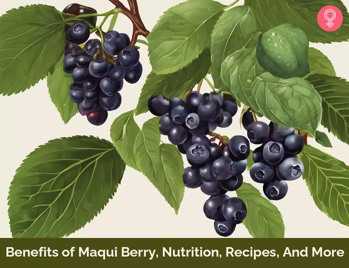 Maqui Berry Benefits