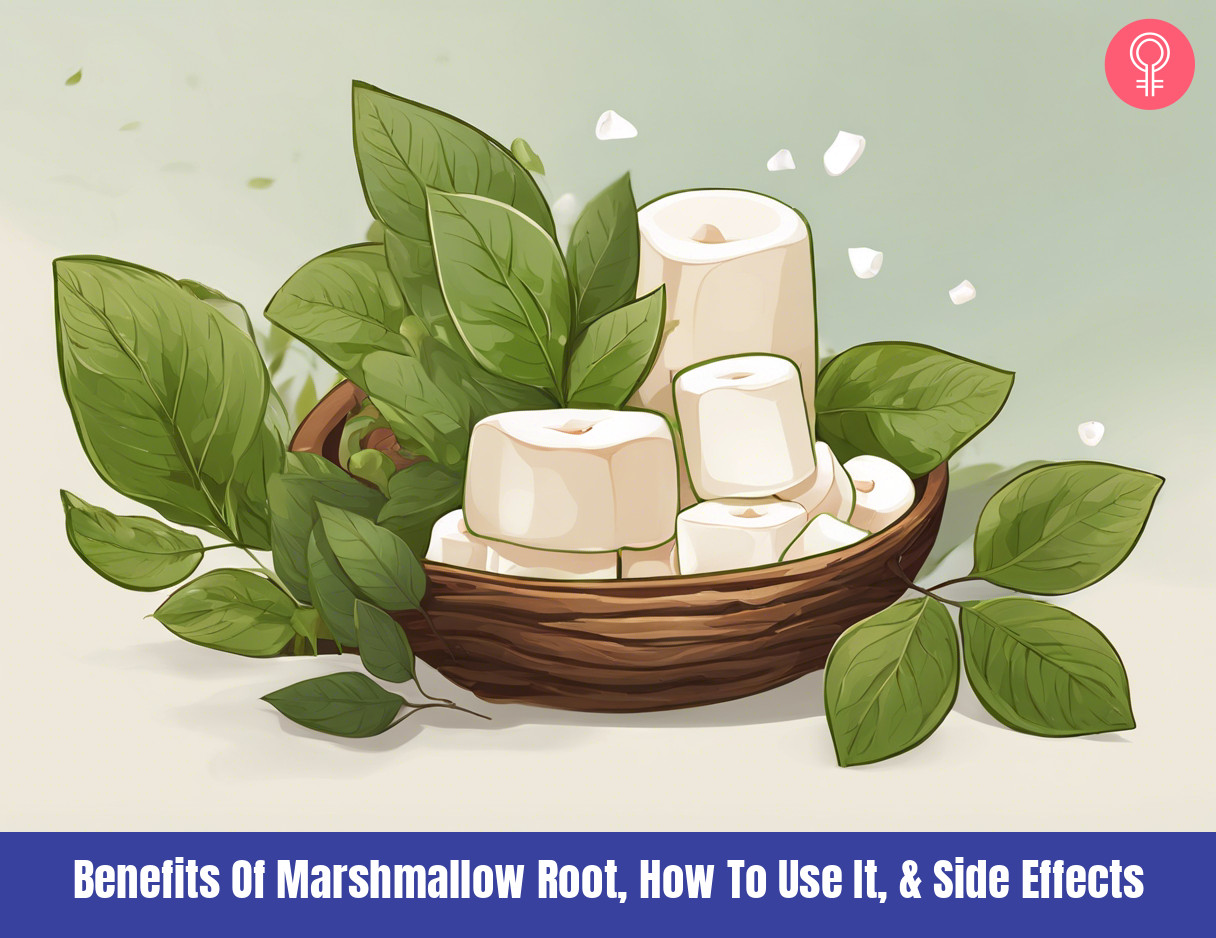 marshmallow root benefits