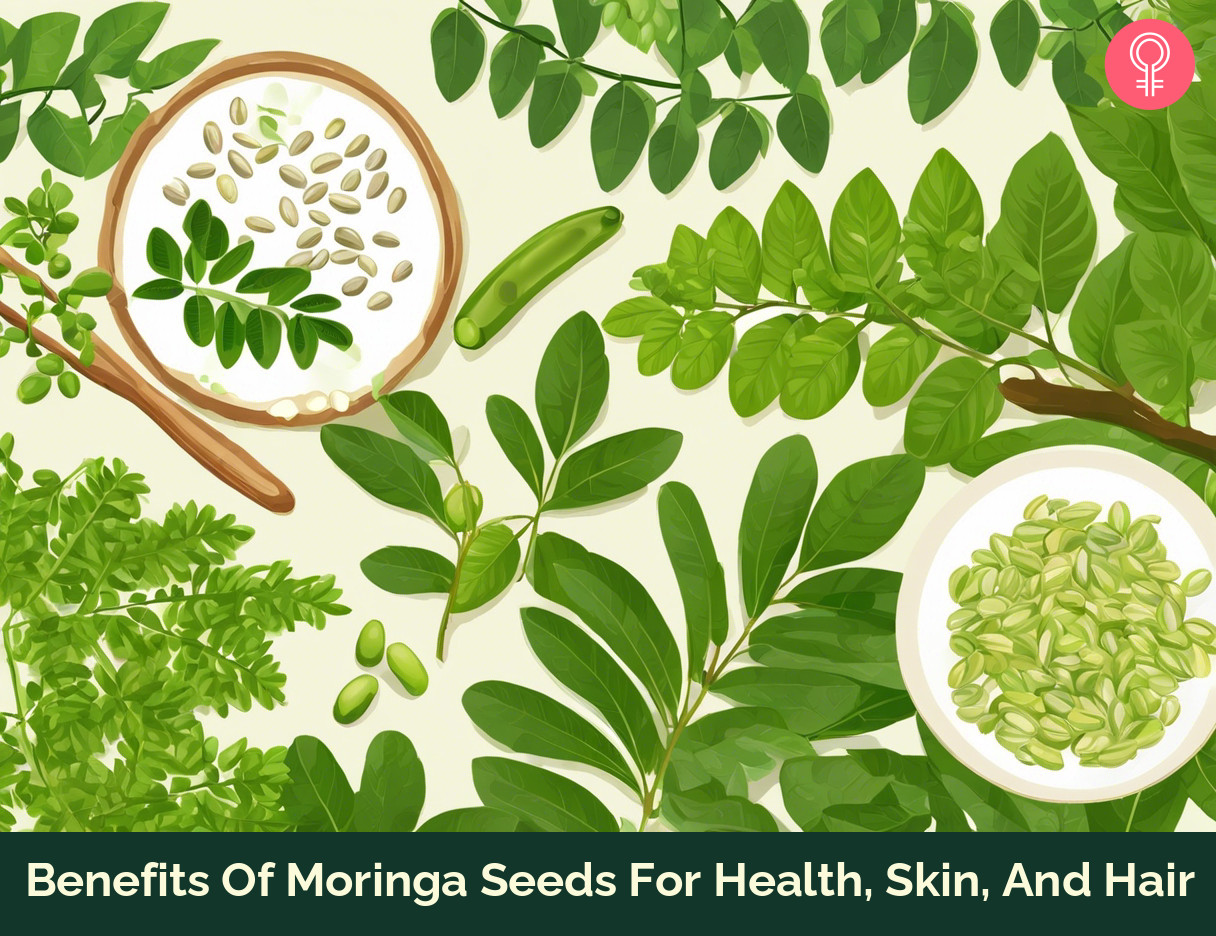 moringa seeds benefits